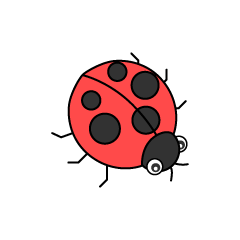 Red Ladybug