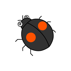 Black Ladybug