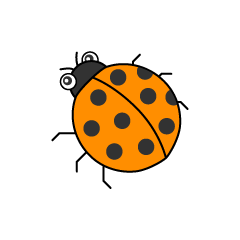 Orange Ladybug