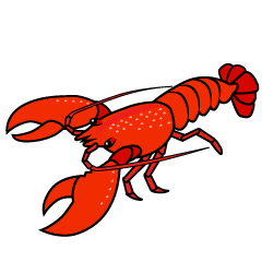 Lobster