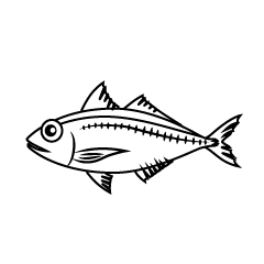 Horse Mackerel Black and White