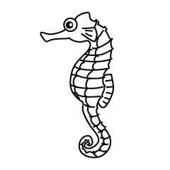 Seahorse Black and White