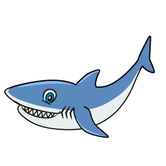 Shark