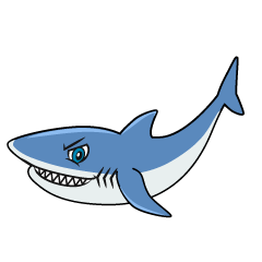 Cool Shark