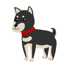 Black Shiba Inu