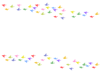 Colorful Bird Silhouette Border