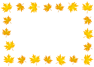 Yellow Autumn Leaves Border