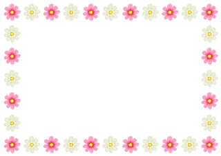 White and Pink Flower Border
