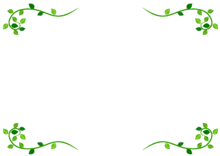 Green Vine Border