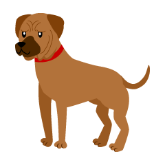 Mirror Clipart