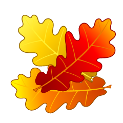 Acorn Autumn Leaves