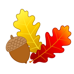 Acorn and Colored Leaves