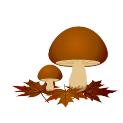 Mushrooms and Fallen Leaves