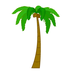 Palmera