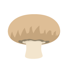 Edible Mushroom