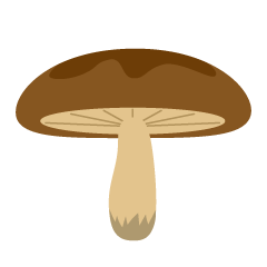 Shiitake Mushroom