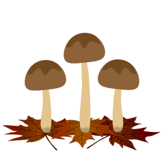 Mushrooms and Fallen Leaves