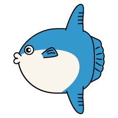 Cute Sunfish