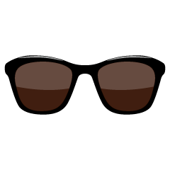 Large Frame Sunglasses