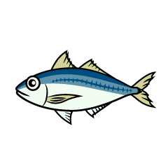 Horse mackerel