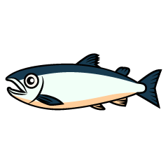 Sardine