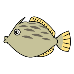 Filefish