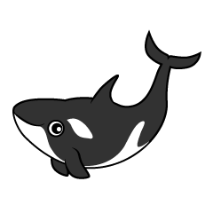 Killer Whale