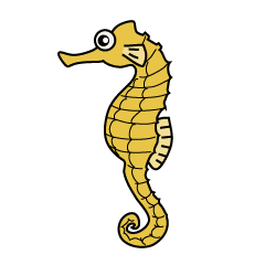 Seahorse