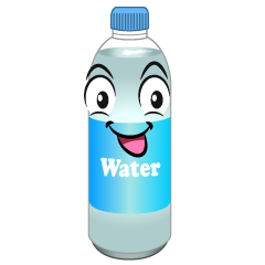 Water Plastic Bottle