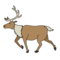 Running Reindeer