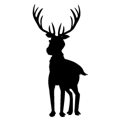 Reindeer from Front Silhouette