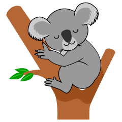 Koala Sleeping