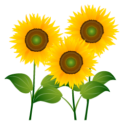 Tres girasoles