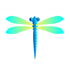 Colorful Dragonfly