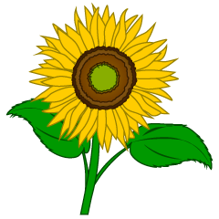 Girasol simple