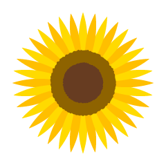 Solo flor de girasol simple