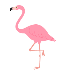 Light Pink Flamingo