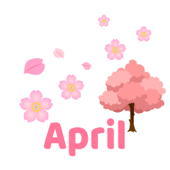 Cherry Blossoms April