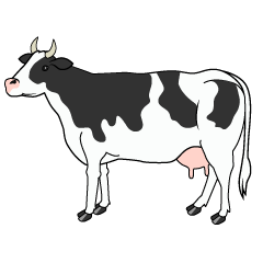 Milk Cow