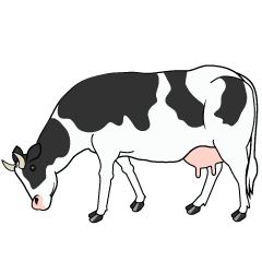 Cow Eating