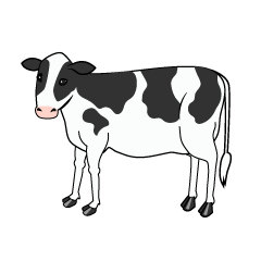 Calf