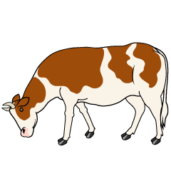 Cow with Brown Eating