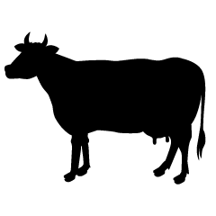 Cow Silhouette