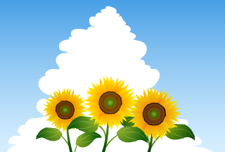 Sunflowers in Sky