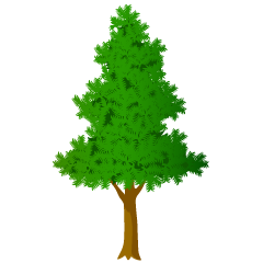 Fir Tree