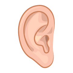 Male Ear