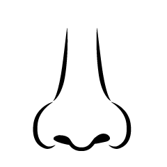 Nose Line