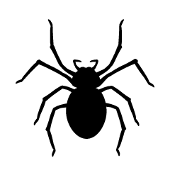 Spider Silhouette