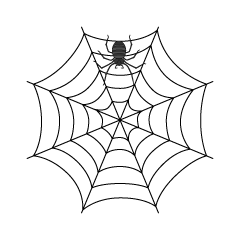 Spider and Spiderweb