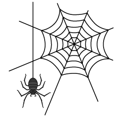 Spiderweb and hanging spider